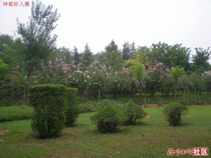 DSCN4196.JPG