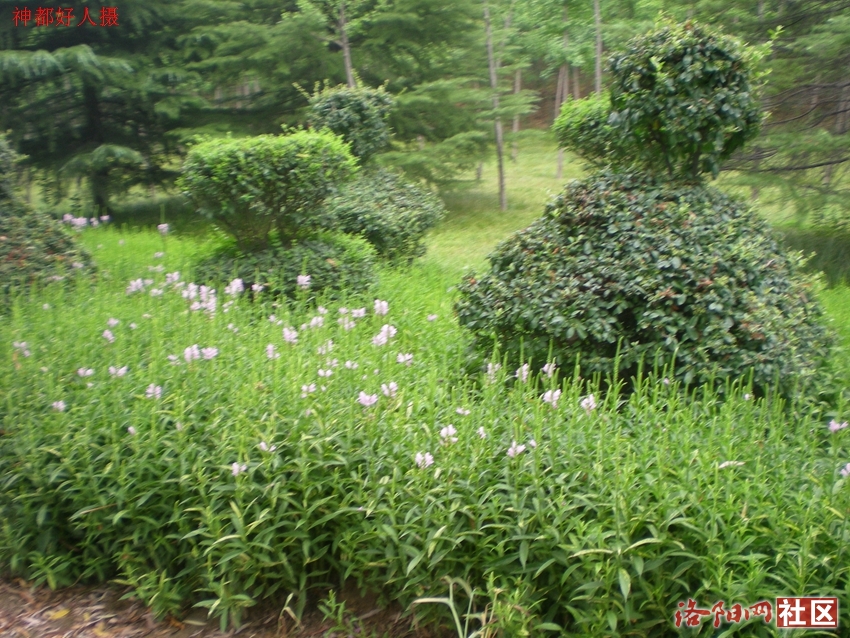 DSCN4199.JPG