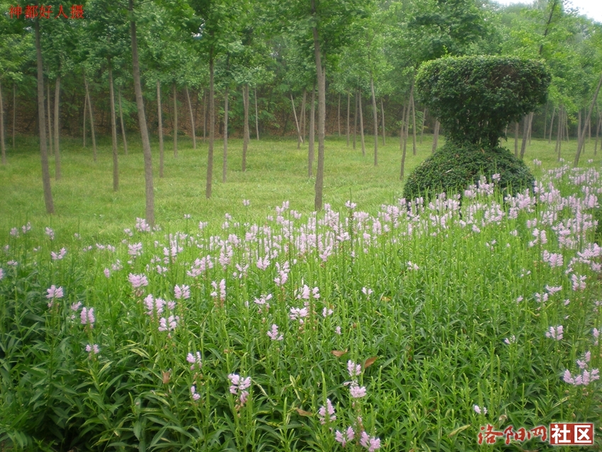DSCN4200.JPG