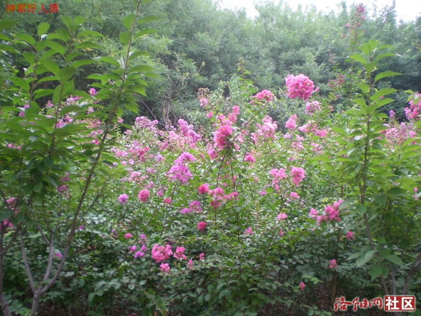 DSCN4202.JPG