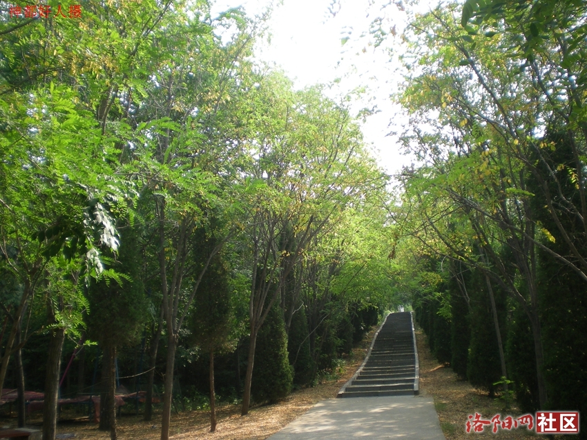 DSCN4224.JPG