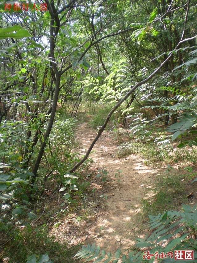 DSCN4235.JPG