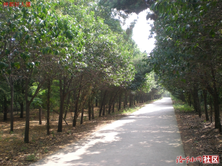 DSCN4236.JPG