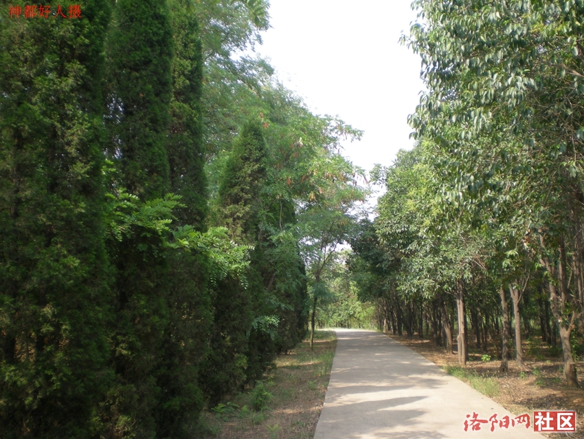 DSCN4237.JPG