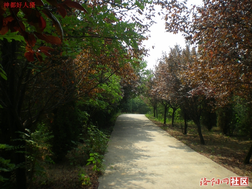 DSCN4238.JPG
