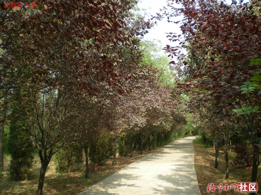 DSCN4239.JPG