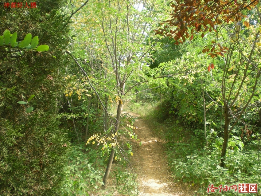 DSCN4240.JPG