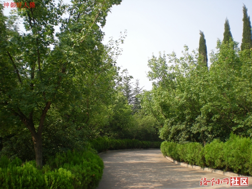 DSCN4241.JPG