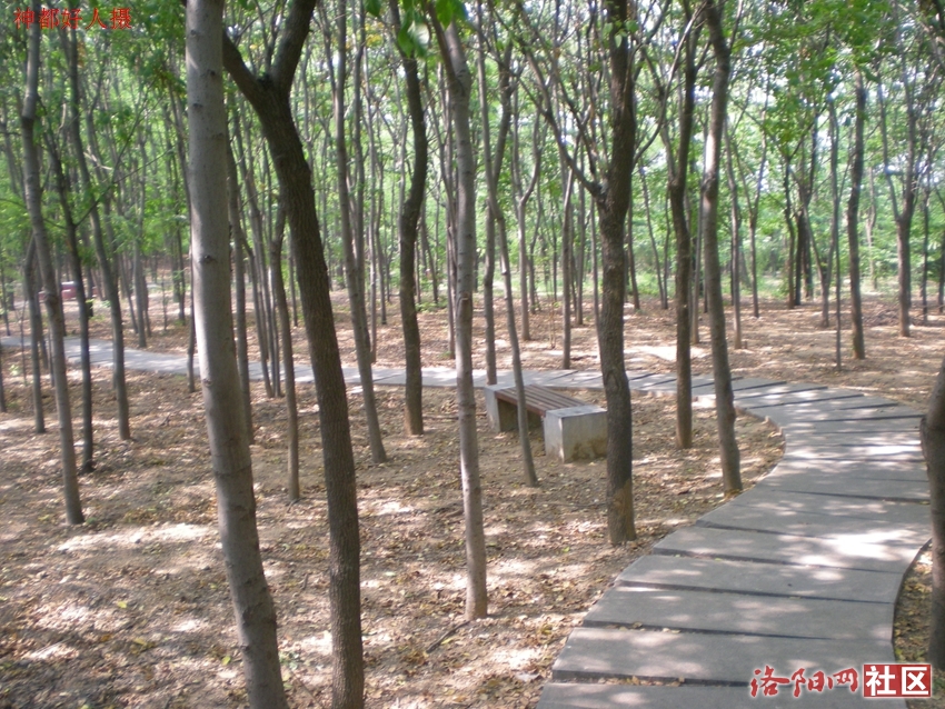 DSCN4242.JPG