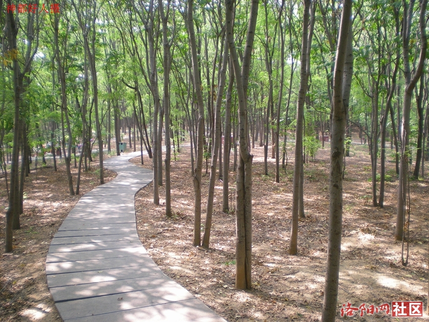 DSCN4243.JPG