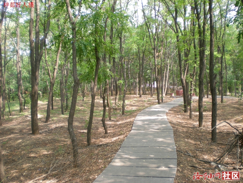 DSCN4244.JPG