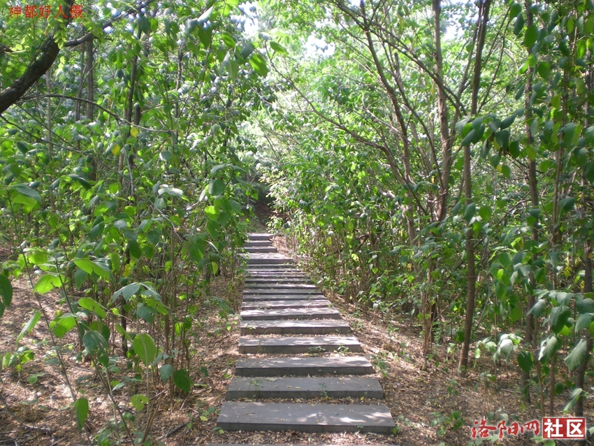 DSCN4245.JPG