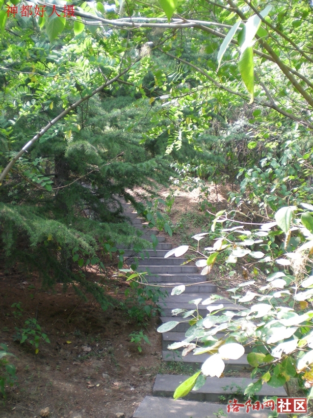 DSCN4246.JPG