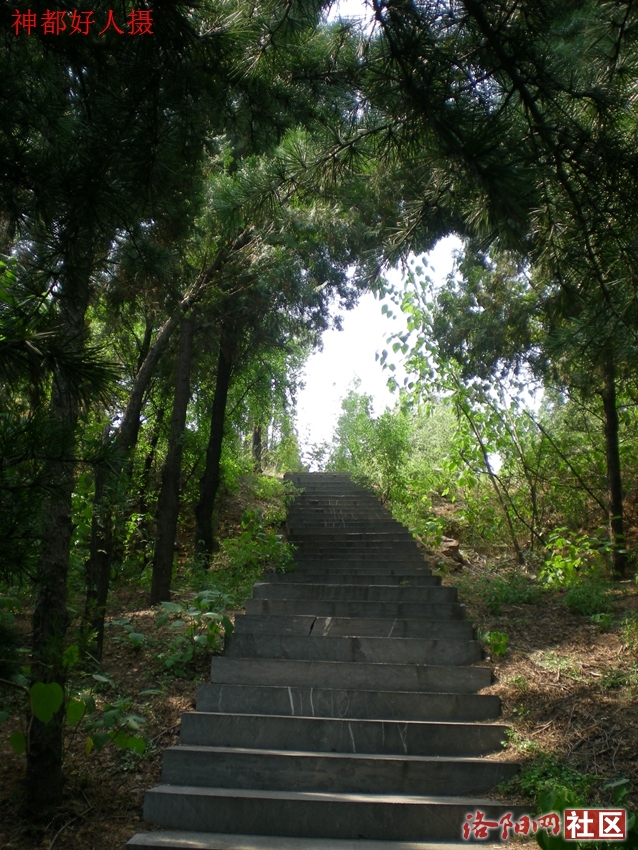 DSCN4247.JPG