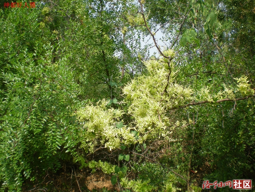 DSCN4254.JPG