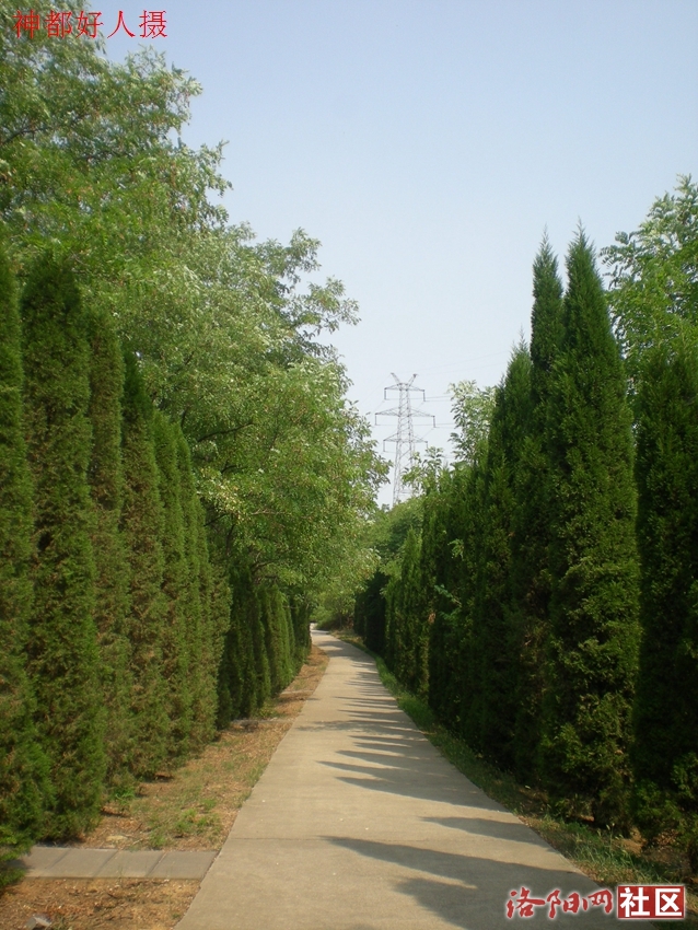 DSCN4258.JPG