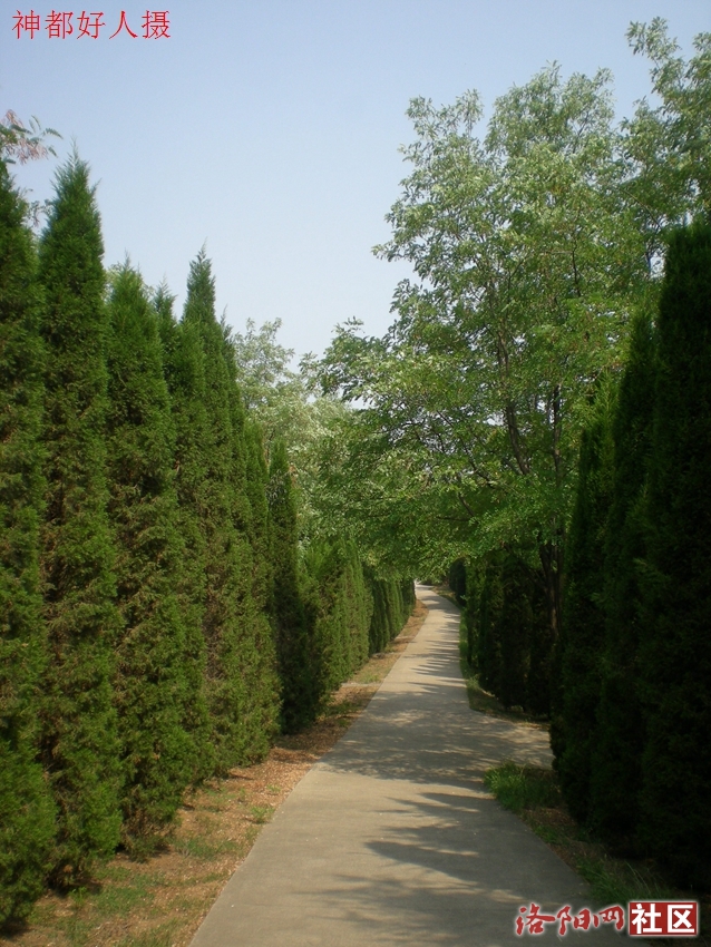DSCN4256.JPG