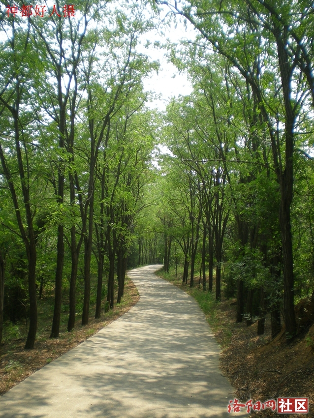 DSCN4257.JPG
