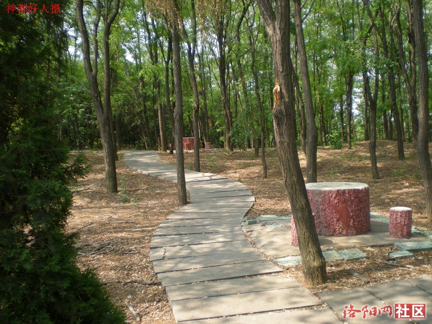 DSCN4259.JPG