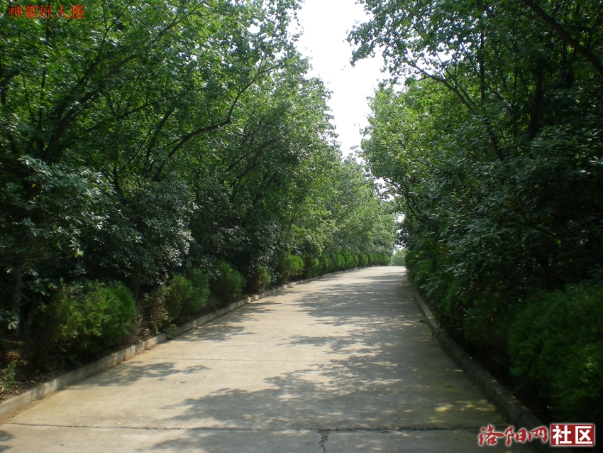 DSCN4263.JPG