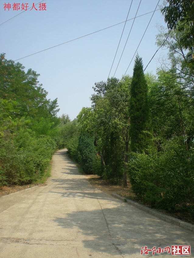 DSCN4265.JPG