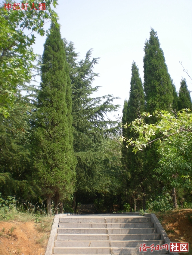 DSCN4268.JPG