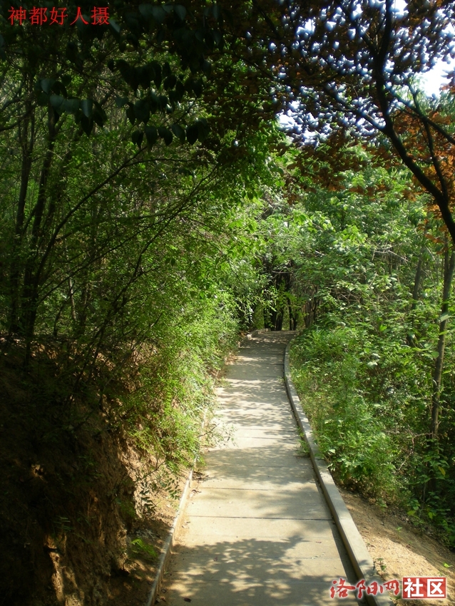 DSCN4271.JPG