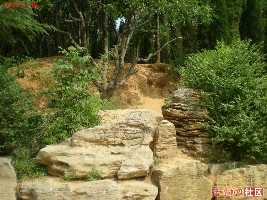 DSCN4273.JPG