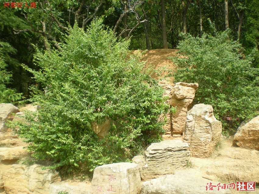 DSCN4274.JPG