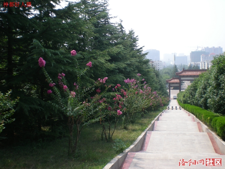 DSCN4276.JPG