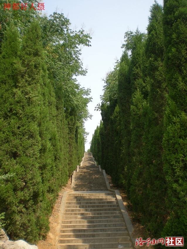 DSCN4275.JPG