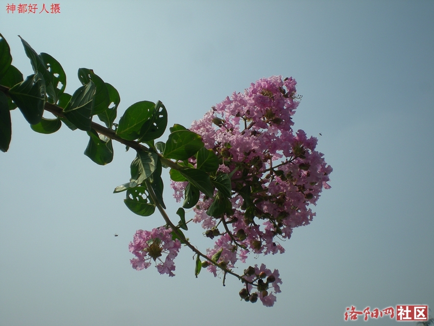 DSCN4277.JPG
