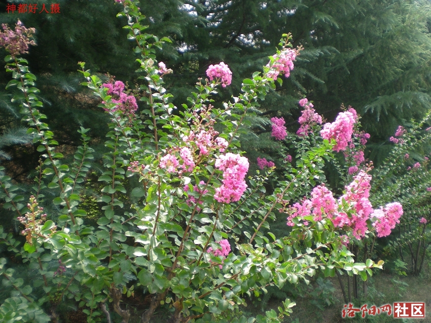 DSCN4278.JPG