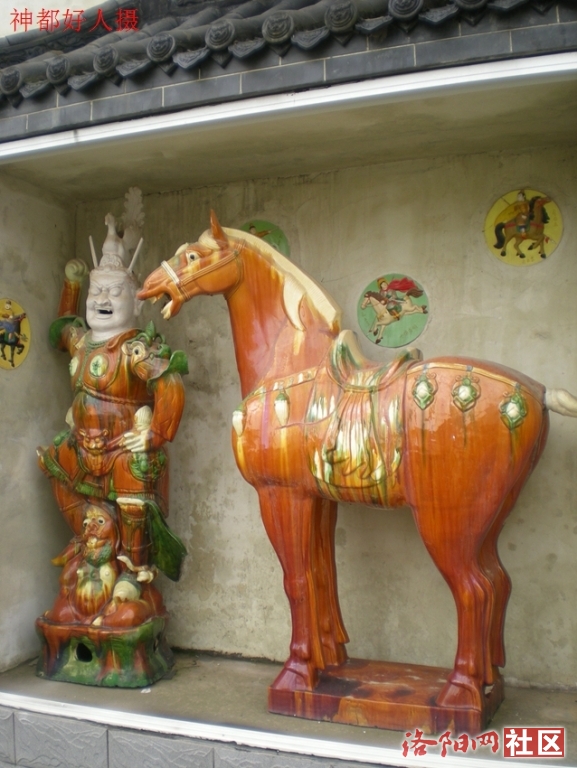 DSCN4982.JPG