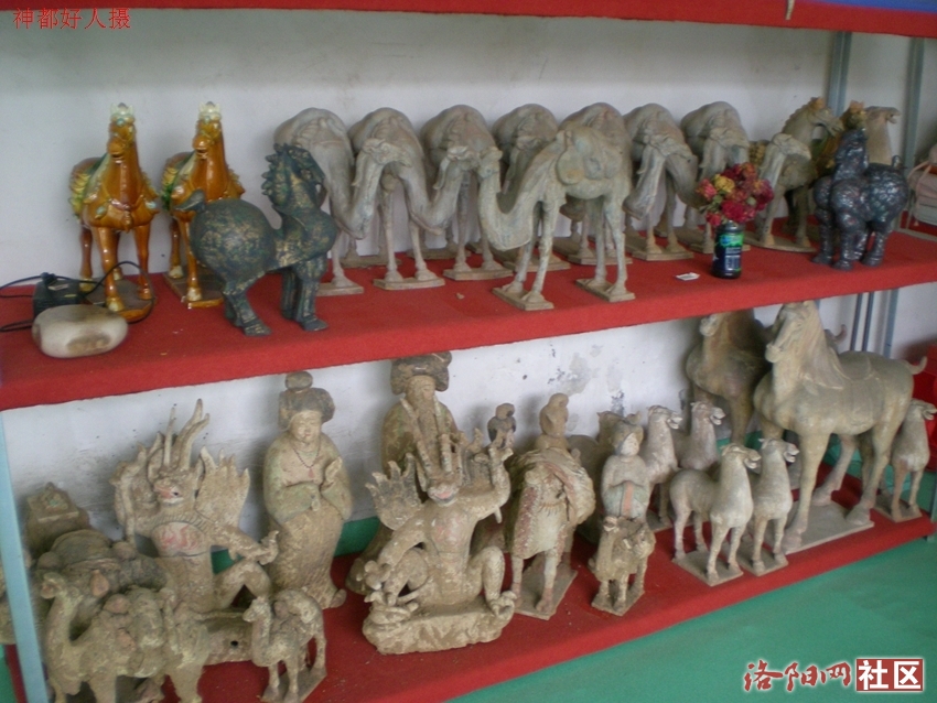 DSCN4990.JPG