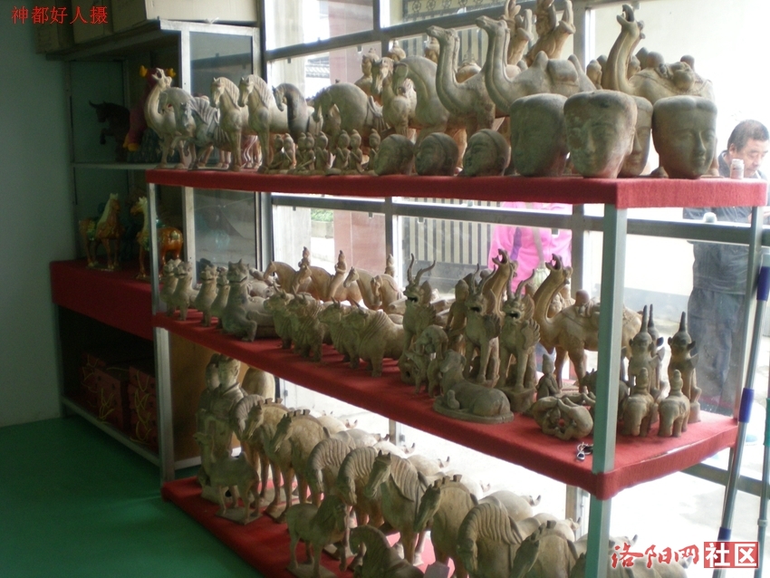 DSCN4991.JPG