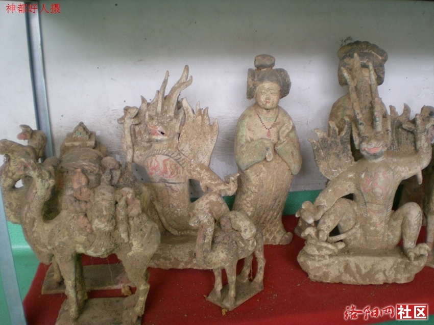 DSCN4992.JPG