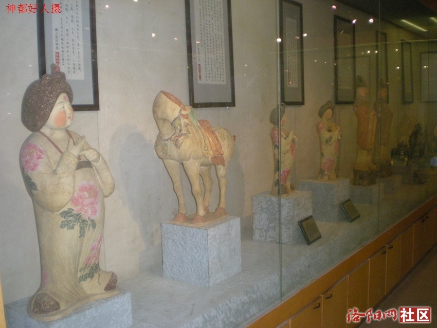 DSCN5029.JPG