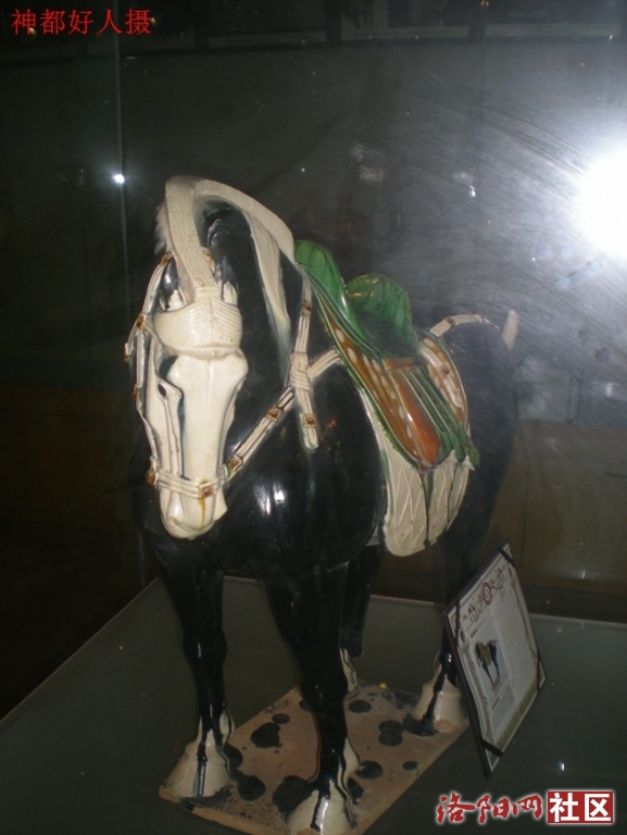 DSCN5030.JPG