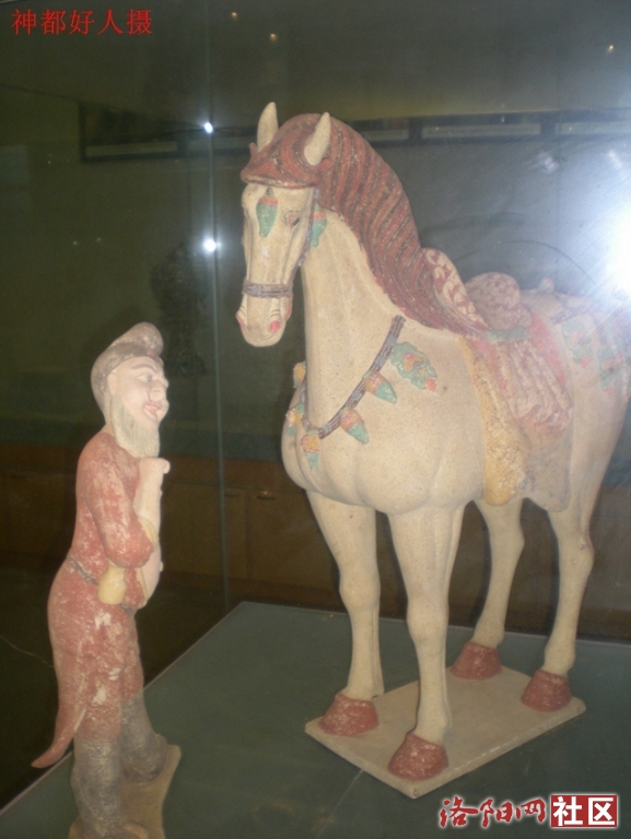 DSCN5031.JPG