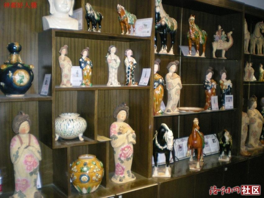 DSCN5033.JPG