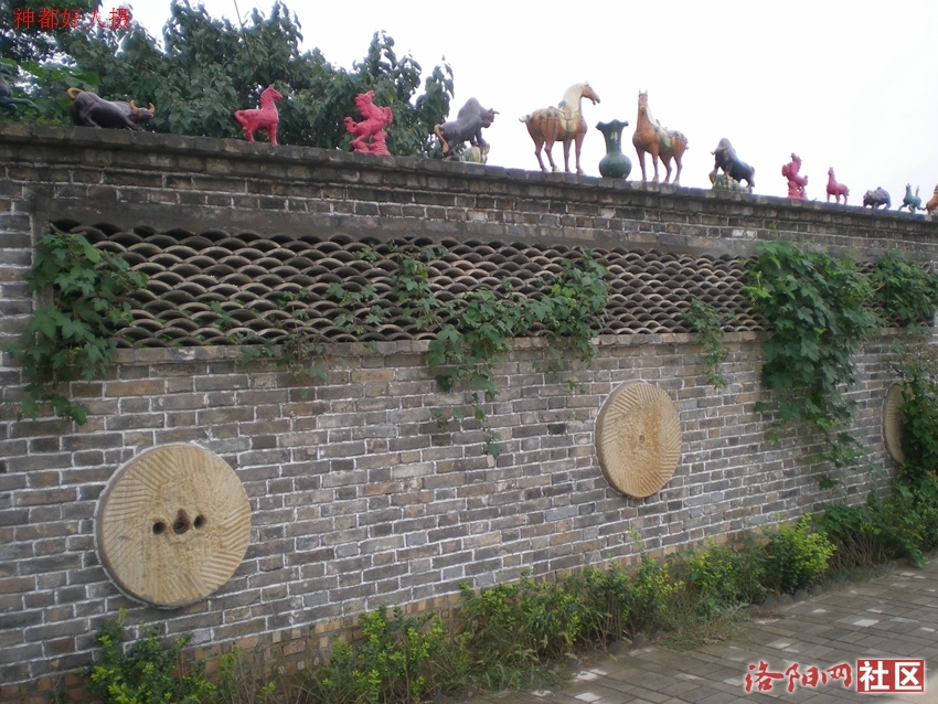 DSCN5045.JPG
