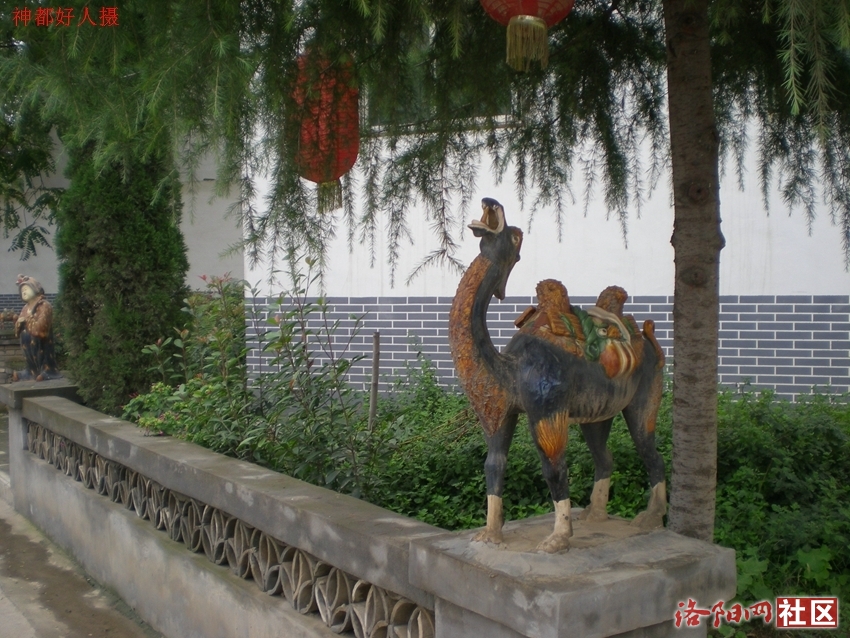 DSCN5079.JPG
