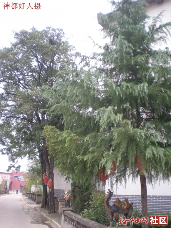 DSCN5080.JPG