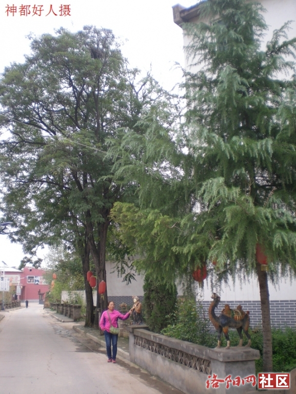 DSCN5081.JPG