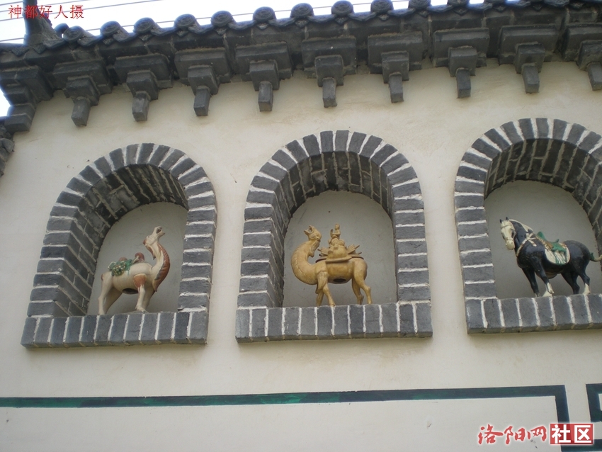 DSCN5088.JPG