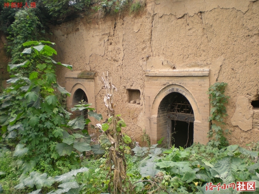 DSCN5133.JPG
