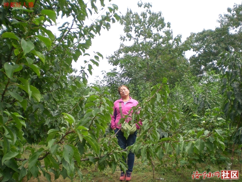 DSCN5134.JPG