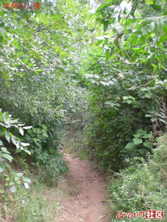 DSCN5135.JPG