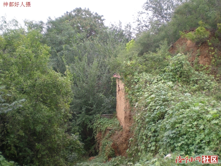 DSCN5141.JPG